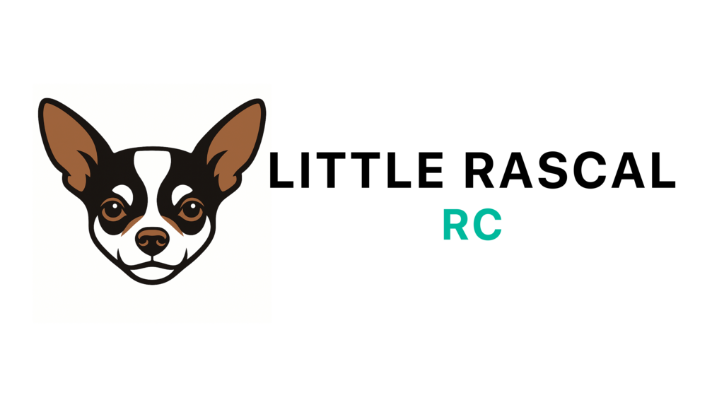 littlerascalrc.com